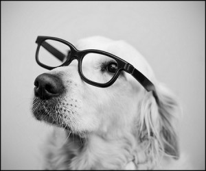 to je model